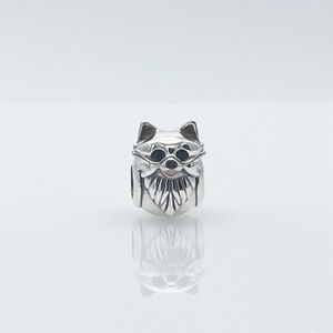 Pomeranian Dog Charm